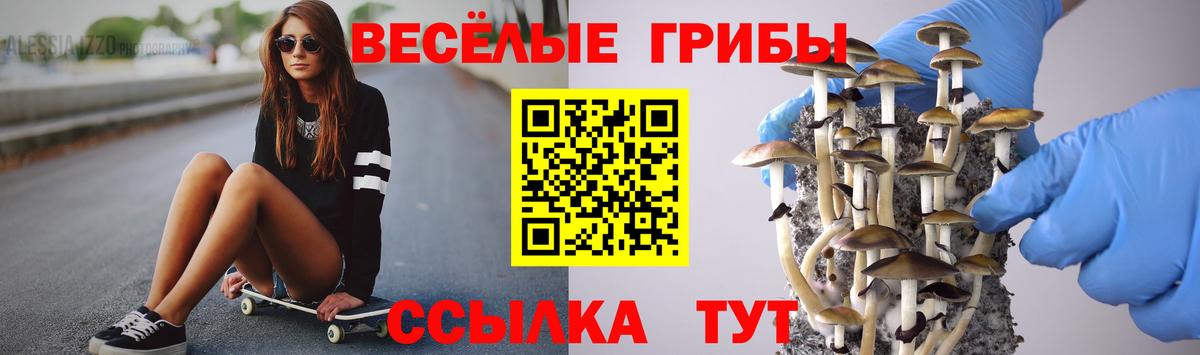 Галлюциногенные грибы MAGIC MUSHROOMS  Вход с VPN  Лыткарино 